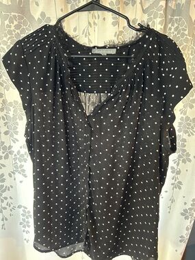 Daniel Rainn Black with White Polka Dot Cap Sleeve Blouse